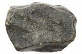 Chondrite Meteorite ( g) - Unclassified NWA #265866-1